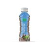 New Direction Advanced Mint Fudge Shake in a Bottle