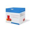 Pomegranate Hibiscus Beverage - Image 4